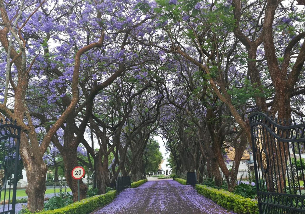 Kievits Kroon Gauteng Wine Estate Pretoria-Noord Kültér fotó